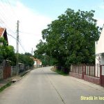 Stradă din Totești